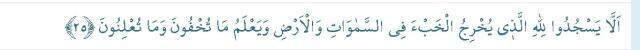 Secde Ayetleri: Kuran-ı Kerim'de geçen Secde Ayetleri nelerdir? 14 Secde Ayeti Arapça yazılışı ve Türkçe meali nedir?