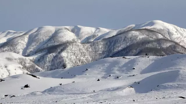 Vali Gündüzöz'den Şenyayla bölgesinin Muş'a bağlanmasına ilişkin açıklama Vali Gündüzöz'den Şenyayla bölgesinin Muş'a bağlanmasına ilişkin açıklama