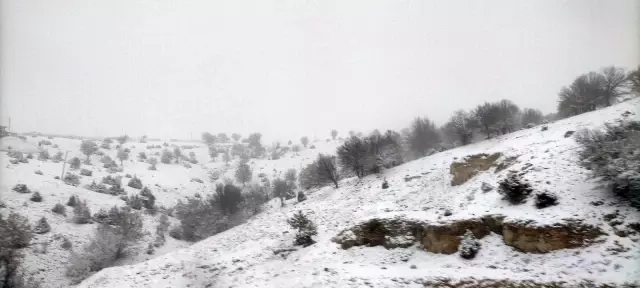 Seyitgazi'de kar var Seyitgazi'de kar var