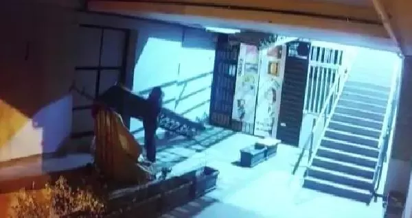 Son dakika haberi! ŞİŞLİ'DE TABELA HIRSIZI KAMERADA Son dakika haberi! ŞİŞLİ'DE TABELA HIRSIZI KAMERADA