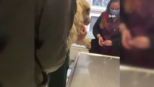 Yaralı köpeği yoldan geçen vatandaşlar kurtardı Yaralı köpeği yoldan geçen vatandaşlar kurtardı