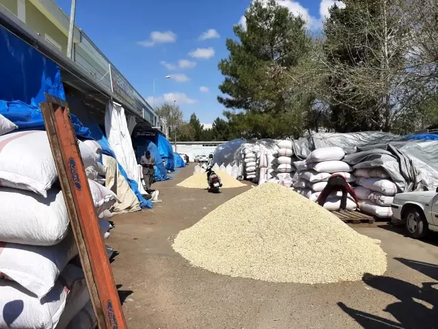 Antep fıstığında fiyatlar düşüyor Antep fıstığında fiyatlar düşüyor