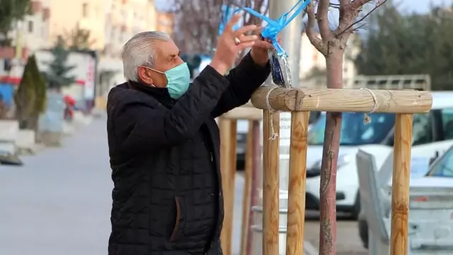 Aziziye'de ağaçlar kitap açtı