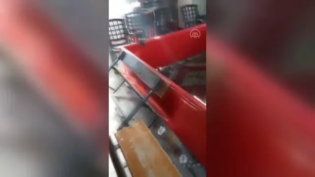 Bağ evinde horoz dövüştüren 27 kişi suçüstü yakalandı Bağ evinde horoz dövüştüren 27 kişi suçüstü yakalandı