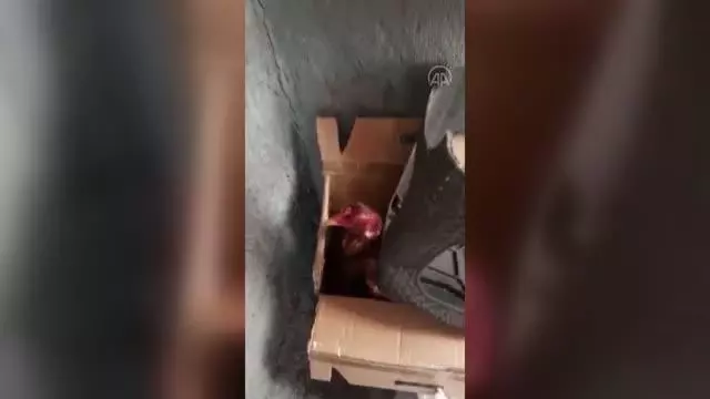 Bağ evinde horoz dövüştüren 27 kişi suçüstü yakalandı Bağ evinde horoz dövüştüren 27 kişi suçüstü yakalandı