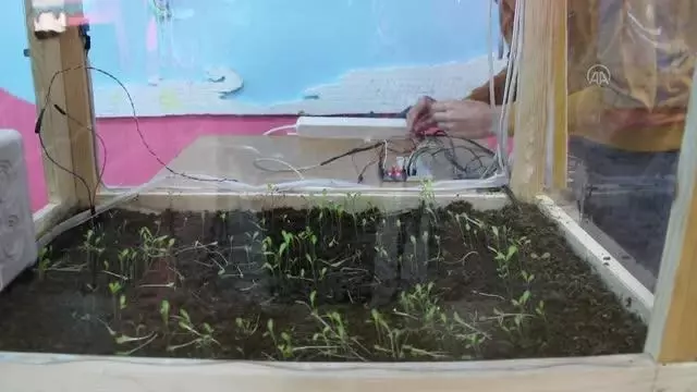 Bilim ve sanat merkezi öğrencileri uzaktan kontrollü minyatür sera tasarladı Bilim ve sanat merkezi öğrencileri uzaktan kontrollü minyatür sera tasarladı