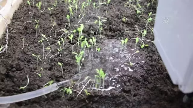 Bilim ve sanat merkezi öğrencileri uzaktan kontrollü minyatür sera tasarladı Bilim ve sanat merkezi öğrencileri uzaktan kontrollü minyatür sera tasarladı