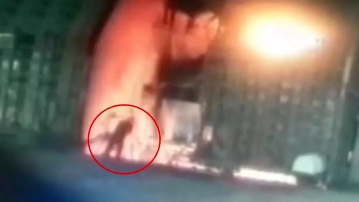 Borsada yüklü miktarda para kaybeden fabrika işçisi, 900 derecelik çelik eritme fırınına atladı