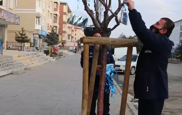 Erzurum'da ağaçlar 'kitap' açtı Erzurum'da ağaçlar 'kitap' açtı