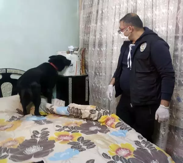 Gaziantep'te, 950 polisle uyuşturucu operasyonu: 29 gözaltı Gaziantep'te, 950 polisle uyuşturucu operasyonu: 29 gözaltı