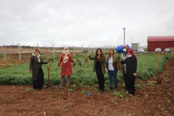 Gaziantepli 7 kadın, kurdukları kooperatifle ihracata başladı