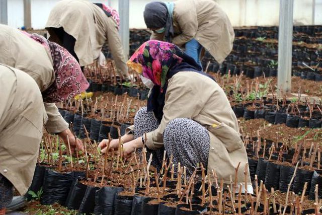 Gaziantepli 7 kadın, kurdukları kooperatifle ihracata başladı