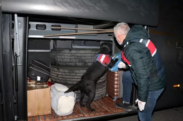 Hassas burunlu köpeklerle didik didik aradılar Hassas burunlu köpeklerle didik didik aradılar