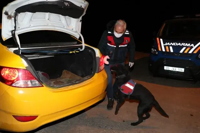 Hassas burunlu köpeklerle didik didik aradılar Hassas burunlu köpeklerle didik didik aradılar