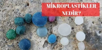 Mikroplastikler nedir?
