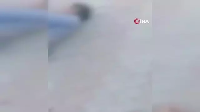 Son dakika haberleri | - Pakistan'da otobüs kazası: 10 ölü, 35 yaralı