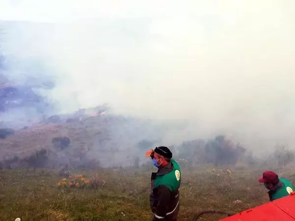 Tekirdağ'da makilik alanda yangın