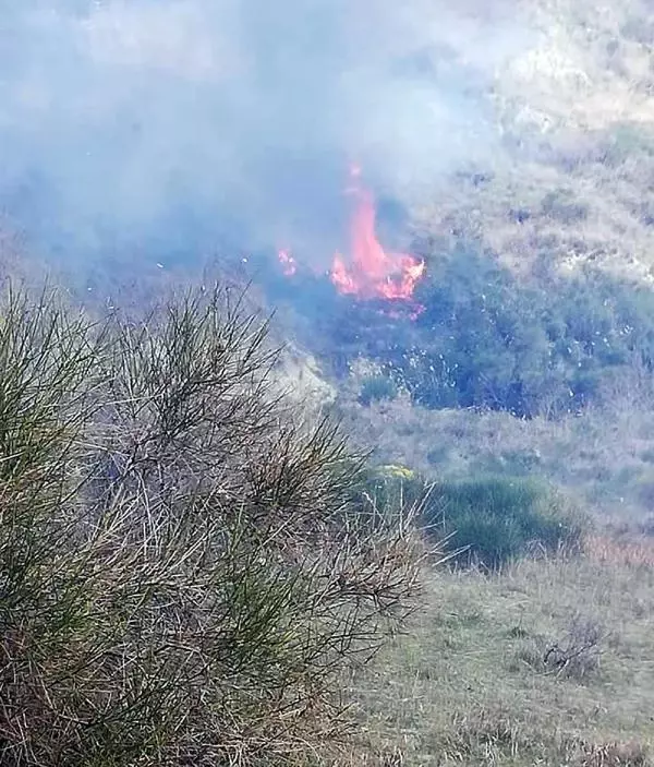 Tekirdağ'da makilik alanda yangın