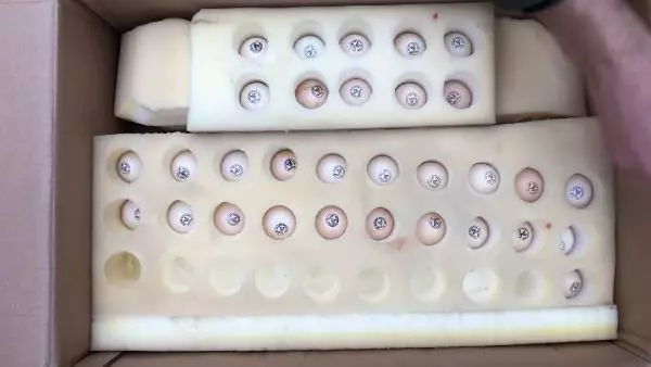 MALATYA Üniversiteli kardeşlerin hobi olarak başladıkları kuluçkalık yumurta üretimi gelir kapısı oldu MALATYA Üniversiteli kardeşlerin hobi olarak başladıkları kuluçkalık yumurta üretimi gelir kapısı oldu