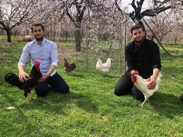 MALATYA Üniversiteli kardeşlerin hobi olarak başladıkları kuluçkalık yumurta üretimi gelir kapısı oldu MALATYA Üniversiteli kardeşlerin hobi olarak başladıkları kuluçkalık yumurta üretimi gelir kapısı oldu