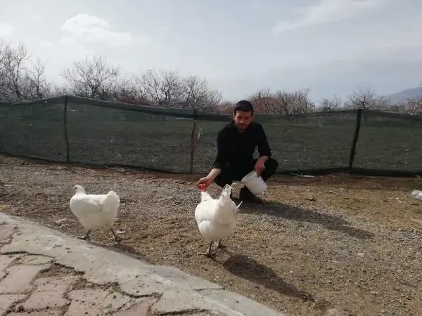 MALATYA Üniversiteli kardeşlerin hobi olarak başladıkları kuluçkalık yumurta üretimi gelir kapısı oldu MALATYA Üniversiteli kardeşlerin hobi olarak başladıkları kuluçkalık yumurta üretimi gelir kapısı oldu
