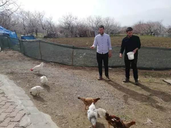 MALATYA Üniversiteli kardeşlerin hobi olarak başladıkları kuluçkalık yumurta üretimi gelir kapısı oldu MALATYA Üniversiteli kardeşlerin hobi olarak başladıkları kuluçkalık yumurta üretimi gelir kapısı oldu