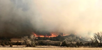 ABD'nin Kuzey Dakota eyaletinde orman yangını: gökyüzü dumanla kaplandıEyalet genelinde acil durum ilan edildi