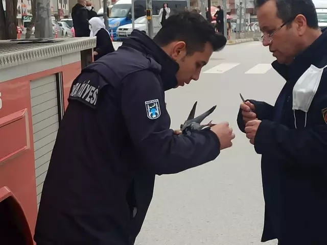 Ağaca takılan güvercini itfaiye kurtardı Ağaca takılan güvercini itfaiye kurtardı