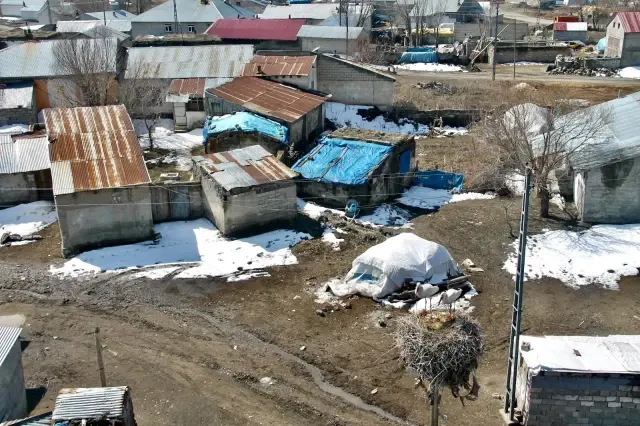 Ağrı'da baharın müjdeleyicisi leyleklerden gökyüzü dansı Ağrı'da baharın müjdeleyicisi leyleklerden gökyüzü dansı