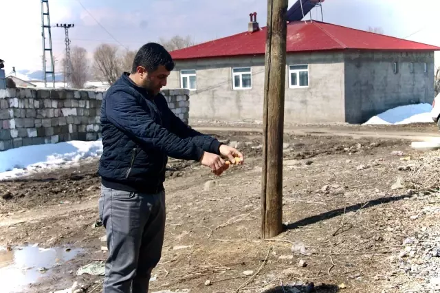 Ağrı'da baharın müjdeleyicisi leyleklerden gökyüzü dansı Ağrı'da baharın müjdeleyicisi leyleklerden gökyüzü dansı