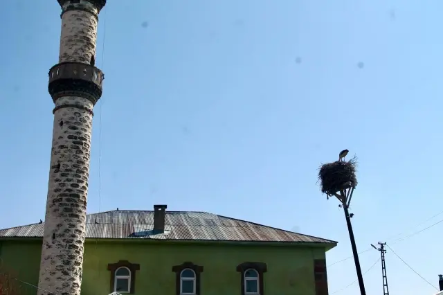 Ağrı'da baharın müjdeleyicisi leyleklerden gökyüzü dansı Ağrı'da baharın müjdeleyicisi leyleklerden gökyüzü dansı