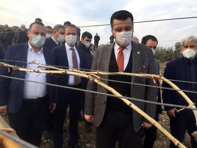 (MANİSA)AK Parti'li Akkal Alaşehir'de dondan zarar gören bağlarda incelemede bulundu (MANİSA)AK Parti'li Akkal Alaşehir'de dondan zarar gören bağlarda incelemede bulundu