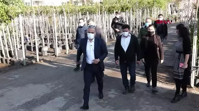 ANTALYA Şifa kaynağı zencefil Muratpaşa'da üretiliyor ANTALYA Şifa kaynağı zencefil Muratpaşa'da üretiliyor
