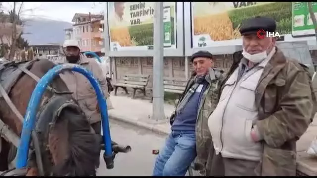Asırlık at arabacılık can çekişiyor Asırlık at arabacılık can çekişiyor