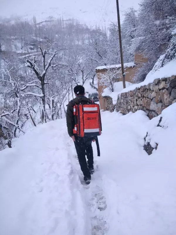 VAN Bahçesaray'da 3 ay sonra 2 vaka VAN Bahçesaray'da 3 ay sonra 2 vaka