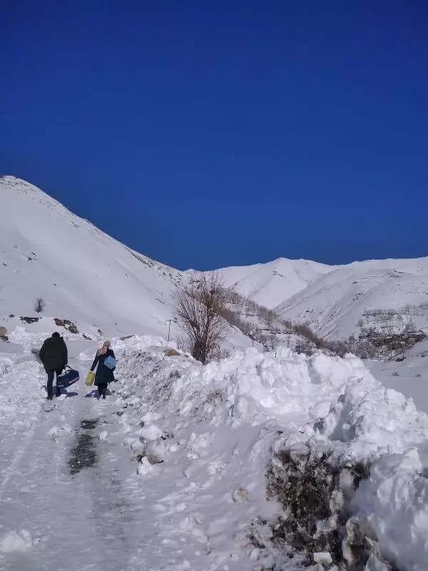 VAN Bahçesaray'da 3 ay sonra 2 vaka VAN Bahçesaray'da 3 ay sonra 2 vaka
