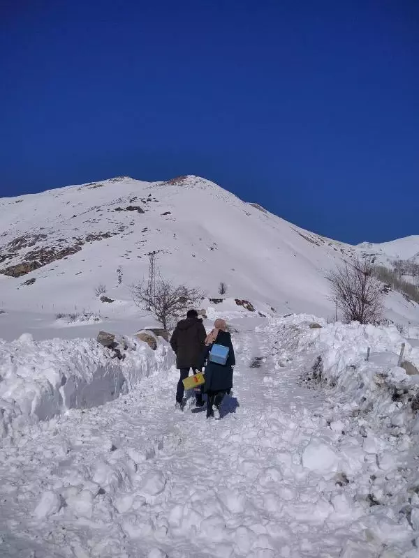 VAN Bahçesaray'da 3 ay sonra 2 vaka VAN Bahçesaray'da 3 ay sonra 2 vaka