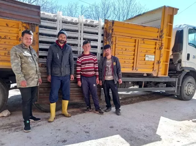 Biyolojik mücadele için Korkuteli'de patates yetiştirilecek Biyolojik mücadele için Korkuteli'de patates yetiştirilecek