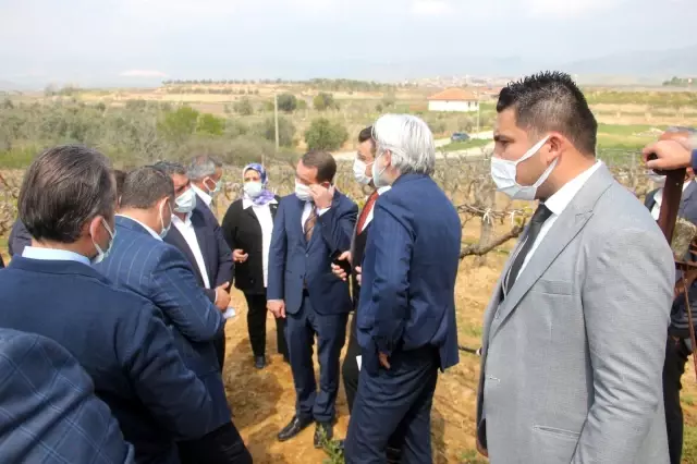 Don zararı yaşayan üreticileri sahada dinlediler Don zararı yaşayan üreticileri sahada dinlediler