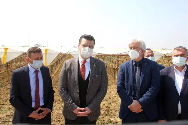 Don zararı yaşayan üreticileri sahada dinlediler Don zararı yaşayan üreticileri sahada dinlediler