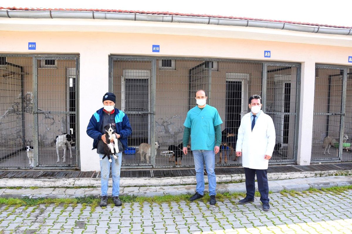 Salihli Belediyesi'nden hayvan barınağı açıklaması