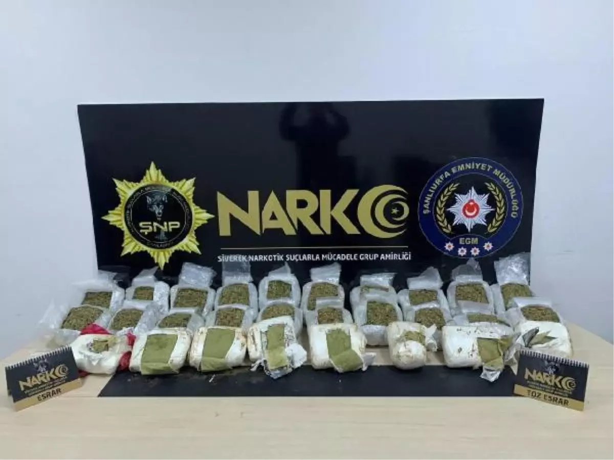 Son dakika haberleri: Siverek'te uyuşturucu operasyonuna 10 tutuklama
