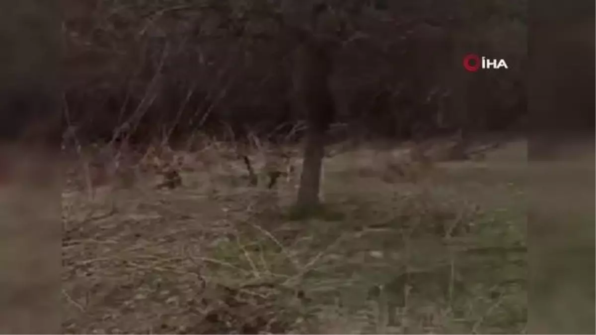 Yakalanacağını anlayan cinayet şüphelisi böyle intihar etti
