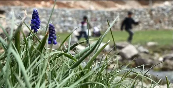 VAN Bahçesaray yolunda kış, merkezde bahar VAN Bahçesaray yolunda kış, merkezde bahar