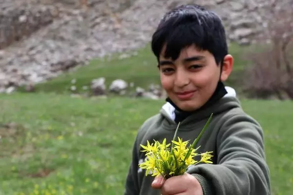 VAN Bahçesaray yolunda kış, merkezde bahar VAN Bahçesaray yolunda kış, merkezde bahar