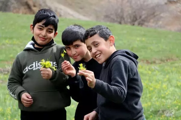 VAN Bahçesaray yolunda kış, merkezde bahar VAN Bahçesaray yolunda kış, merkezde bahar