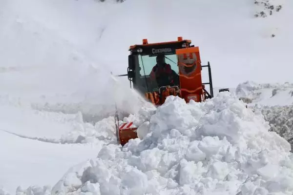 VAN Bahçesaray yolunda kış, merkezde bahar VAN Bahçesaray yolunda kış, merkezde bahar