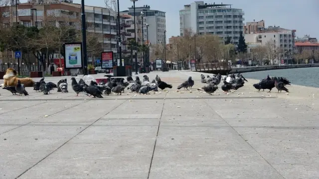 Kısıtlamada Taksim meydanı turistlere kaldı Kısıtlamada Taksim meydanı turistlere kaldı