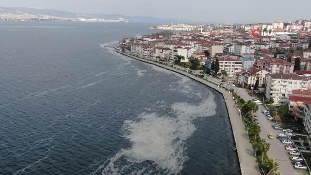deniz salyasi izmit korfezi ni beyaza burudu 2 14040573 o