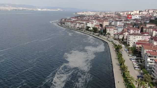 deniz salyasi izmit korfezi ni beyaza burudu 3 14040573 o